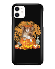 Load image into Gallery viewer, Chihuahua Book Pumpkin Halloween Gift For Dog Lovers Phone case