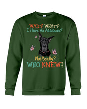 Load image into Gallery viewer, Black Great Dane Attitude Really Gift For Dog Lovers Sweatshirt