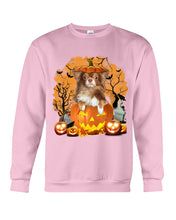 Load image into Gallery viewer, Chihuahua Book Pumpkin Halloween Gift For Dog Lovers Sweatshirt
