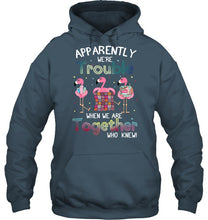 Load image into Gallery viewer, Apparently We're Trouble Pink Flamingo Quilting Together Hoodie