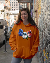Load image into Gallery viewer, Lovely Phone Case Three Owl With US Flag Gift For Owl Lovers Hoodie
