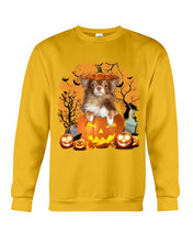Load image into Gallery viewer, Chihuahua Book Pumpkin Halloween Gift For Dog Lovers Sweatshirt