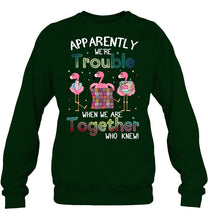 Load image into Gallery viewer, Apparently We're Trouble Pink Flamingo Quilting Together Sweatshirt