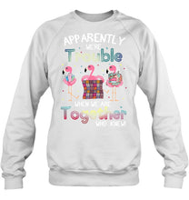 Load image into Gallery viewer, Apparently We're Trouble Pink Flamingo Quilting Together Sweatshirt