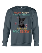 Load image into Gallery viewer, Black Great Dane Attitude Really Gift For Dog Lovers Sweatshirt