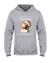 Load image into Gallery viewer, We Are Loved Shih Tzu Gift For Dog Lovers Hoodie
