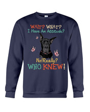 Load image into Gallery viewer, Black Great Dane Attitude Really Gift For Dog Lovers Sweatshirt