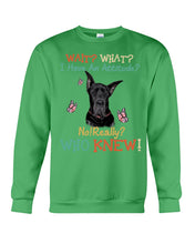 Load image into Gallery viewer, Black Great Dane Attitude Really Gift For Dog Lovers Sweatshirt