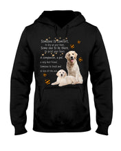 Load image into Gallery viewer, Golden Retriever Someone To Trust And To Love Till The End Gift For Dog Lovers Hoodie