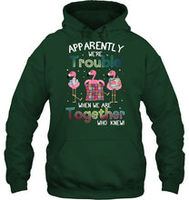 Load image into Gallery viewer, Apparently We're Trouble Pink Flamingo Quilting Together Hoodie