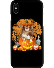 Load image into Gallery viewer, Chihuahua Book Pumpkin Halloween Gift For Dog Lovers Phone case
