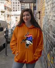 Load image into Gallery viewer, Eagle Giant Scratch USA Flag Gift For Women Hoodie