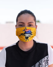 Load image into Gallery viewer, Eagle Giant Scratch USA Flag Gift For Women Cloth Face Mask