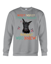 Load image into Gallery viewer, Black Great Dane Attitude Really Gift For Dog Lovers Sweatshirt