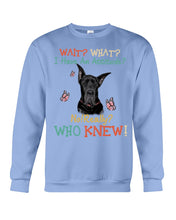 Load image into Gallery viewer, Black Great Dane Attitude Really Gift For Dog Lovers Sweatshirt