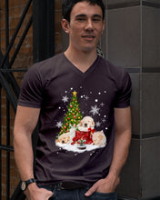 Load image into Gallery viewer, Funny Golden Retrievers Sleep In Red Boots Gift For Dog Lovers Guys V-Neck