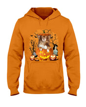 Load image into Gallery viewer, Chihuahua Book Pumpkin Halloween Gift For Dog Lovers Hoodie
