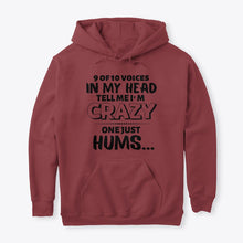 Load image into Gallery viewer, 9 Of 10 Voices In My Head Tell Me I'm Crazy One Just Hums Hoodie
