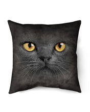 Load image into Gallery viewer, Black Phone Case With Black Cat Face Gift For Cat Lovers Pillow Cover
