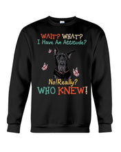 Load image into Gallery viewer, Black Great Dane Attitude Really Gift For Dog Lovers Sweatshirt
