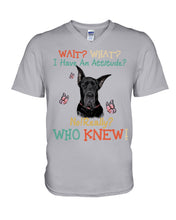Load image into Gallery viewer, Black Great Dane Attitude Really Gift For Dog Lovers Guys V-Neck
