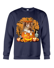 Load image into Gallery viewer, Chihuahua Book Pumpkin Halloween Gift For Dog Lovers Sweatshirt
