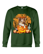 Load image into Gallery viewer, Chihuahua Book Pumpkin Halloween Gift For Dog Lovers Sweatshirt
