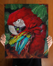 Load image into Gallery viewer, Red Parrot Jungle Forest Gift For Bird Lovers Matte Canvas
