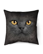 Load image into Gallery viewer, Black Phone Case With Black Cat Face Gift For Cat Lovers Pillow Cover

