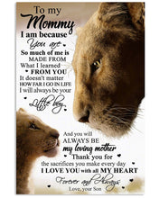 Load image into Gallery viewer, I Love You With All My Heart Gift From Son To Mommy Vertical Poster

