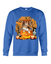 Load image into Gallery viewer, Chihuahua Book Pumpkin Halloween Gift For Dog Lovers Sweatshirt
