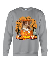 Load image into Gallery viewer, Chihuahua Book Pumpkin Halloween Gift For Dog Lovers Sweatshirt
