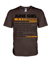 Load image into Gallery viewer, June Girl Facts Very Friendly But Dangerous Custom Design Guys V-Neck
