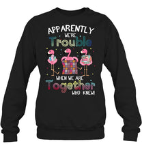 Load image into Gallery viewer, Apparently We're Trouble Pink Flamingo Quilting Together Sweatshirt
