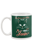 Load image into Gallery viewer, Lé Dames Aux Thats Vrais Sont Nées En   Juin For Birthday Gift Mug
