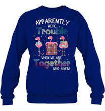 Load image into Gallery viewer, Apparently We're Trouble Pink Flamingo Quilting Together Sweatshirt
