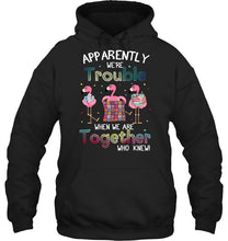 Load image into Gallery viewer, Apparently We're Trouble Pink Flamingo Quilting Together Hoodie
