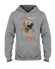 Load image into Gallery viewer, Labrador Retriever Attitude Really Gift For Dog Lovers Hoodie
