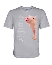Load image into Gallery viewer, Pig I'm Your Friend Gift For Pig Lovers Guys V-Neck
