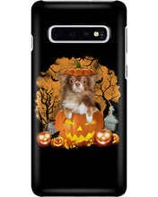 Load image into Gallery viewer, Chihuahua Book Pumpkin Halloween Gift For Dog Lovers Phone case
