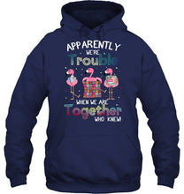 Load image into Gallery viewer, Apparently We're Trouble Pink Flamingo Quilting Together Hoodie
