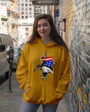 Load image into Gallery viewer, Eagle Giant Scratch USA Flag Gift For Women Hoodie
