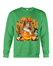 Load image into Gallery viewer, Chihuahua Book Pumpkin Halloween Gift For Dog Lovers Sweatshirt
