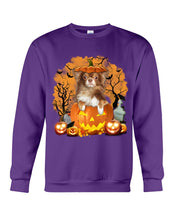 Load image into Gallery viewer, Chihuahua Book Pumpkin Halloween Gift For Dog Lovers Sweatshirt
