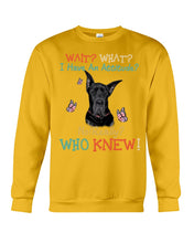 Load image into Gallery viewer, Black Great Dane Attitude Really Gift For Dog Lovers Sweatshirt
