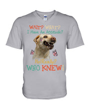 Load image into Gallery viewer, Labrador Retriever Attitude Really Gift For Dog Lovers Guys V-Neck
