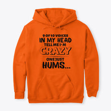 Load image into Gallery viewer, 9 Of 10 Voices In My Head Tell Me I'm Crazy One Just Hums Hoodie
