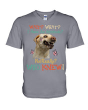 Load image into Gallery viewer, Labrador Retriever Attitude Really Gift For Dog Lovers Guys V-Neck
