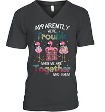 Load image into Gallery viewer, Apparently We're Trouble Pink Flamingo Quilting Together Guys V-Neck
