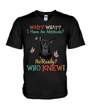 Load image into Gallery viewer, Black Great Dane Attitude Really Gift For Dog Lovers Guys V-Neck
